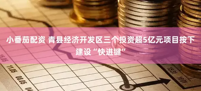 小番茄配资 青县经济开发区三个投资超5亿元项目按下建设“快进键”